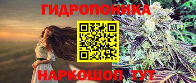 a pvp Бугуруслан