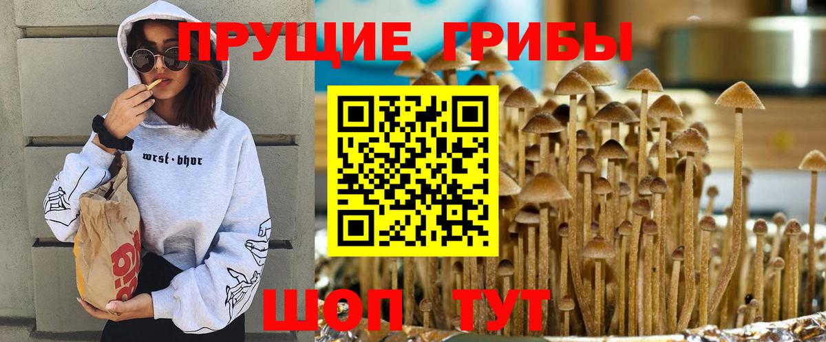 Псилоцибиновые грибы ЛСД  Вход с VPN  Кохма 