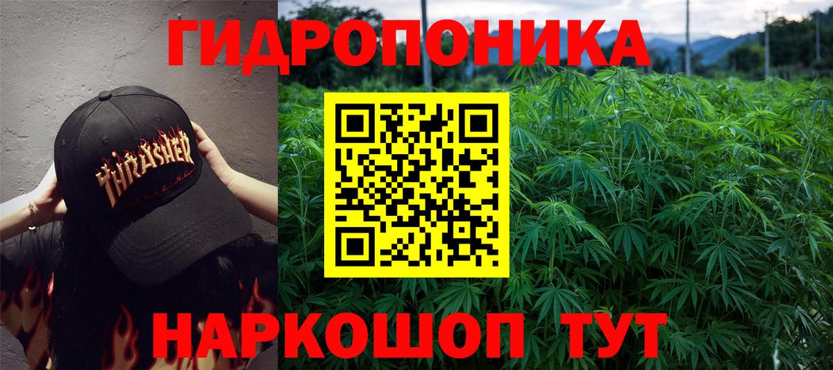 Каннабис OG Kush  Вход с VPN  Конопля OG Kush  Кохма 